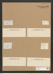 Odontidium mutabile var. intermedium (= Fragillaria intermedia) Grunow (de-Toni-Nr.: Genus 59, Species 2545) Zeichnungen Sammlung Grunow Nr. 5735 (NHMW-BOT-W0373396)